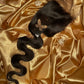 Silky Peruvian Virgin Body Wave HD Lace Closure